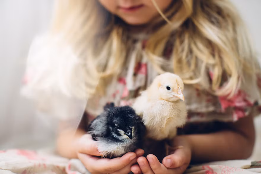 Khi mà mình có thể giao tiếp và làm bạn với nhiều loài động vật khác nhau.