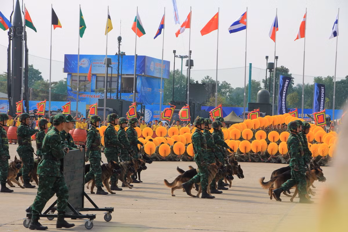 Lực lượng quân khuyển hiên ngang tiến vào khu vực biểu diễn. 