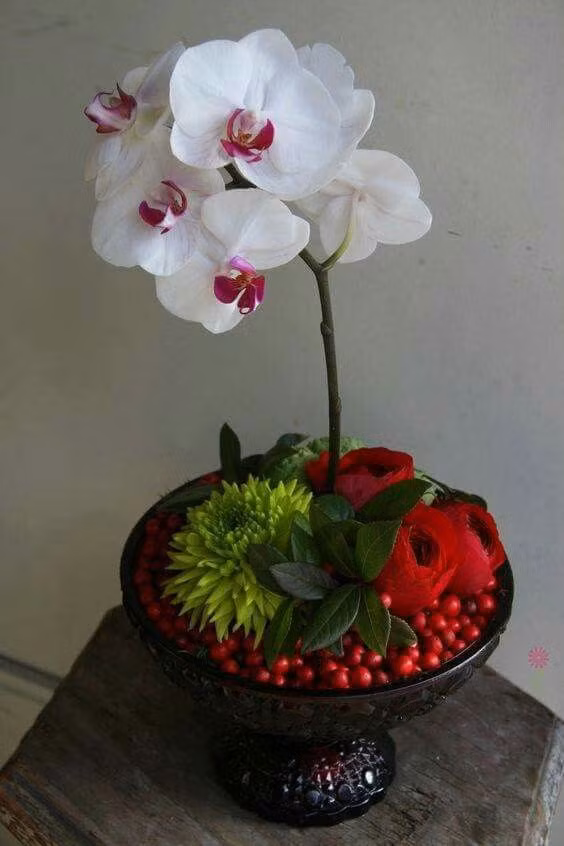 Rất phù hợp chơi trong cả dịp Tết. Ảnh: abdullah bulum.