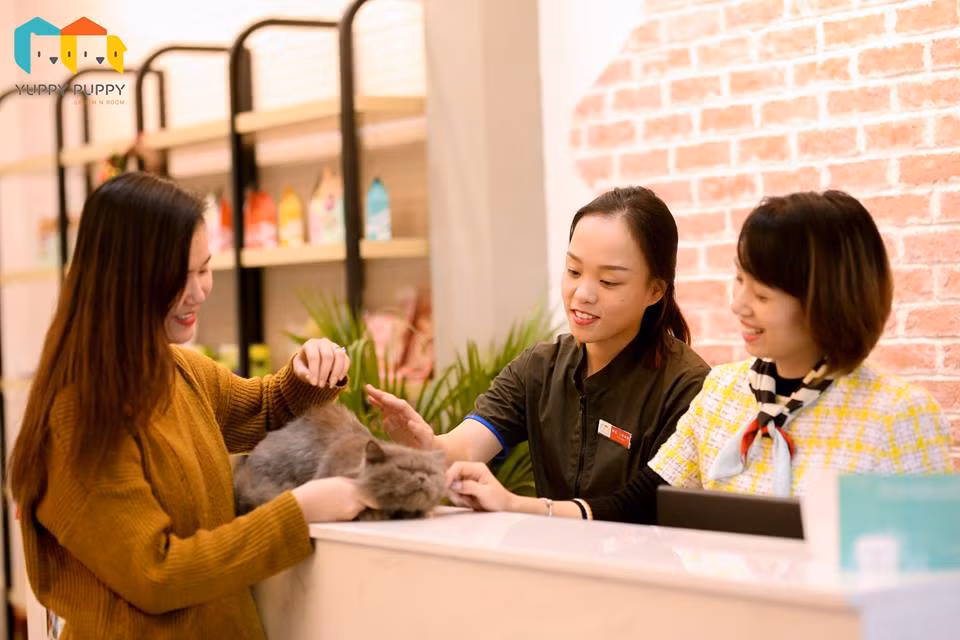 Khách sạn chó mèo Yuppy Puppy toạ lạc tại toà nhà 5 tầng số 48 Yên Bái 1, Hai Bà Trưng, Hà Nội; cách Hồ Gươm 1.5km, công viên Thống Nhất 1km. Ảnh: Yuppy Puppy.