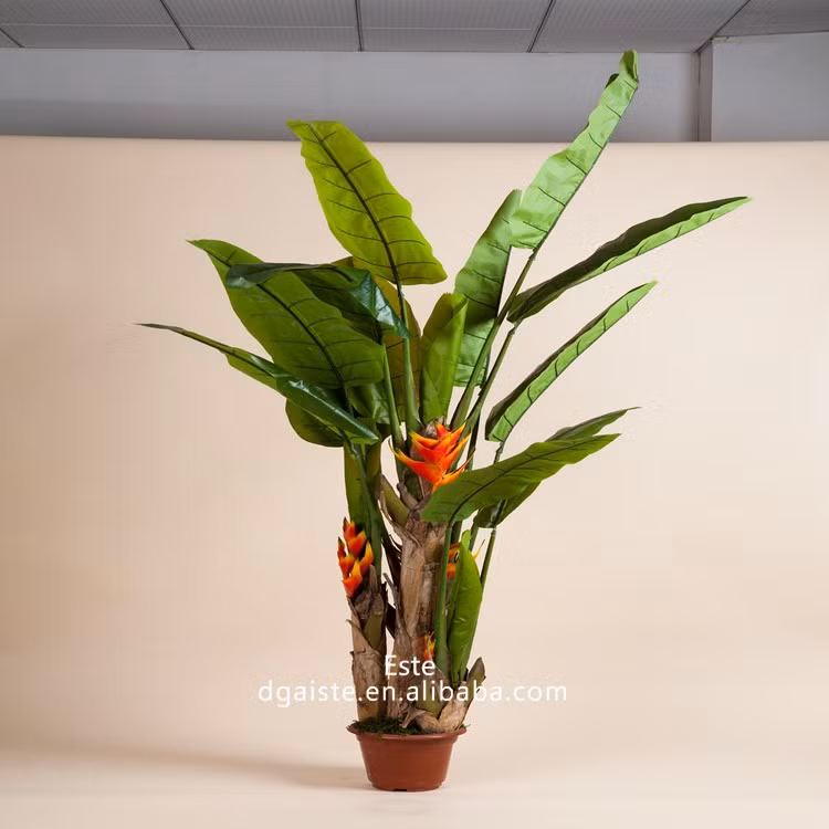 Bonsai chuối tràng pháo với màu hoa đỏ tượng trưng cho sự may mắn. Ảnh: Vietnamese.alibaba.com