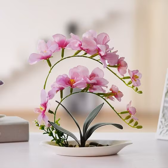 Những chậu bonsai này có sức sống rất bền. Ảnh: google.com.mx.