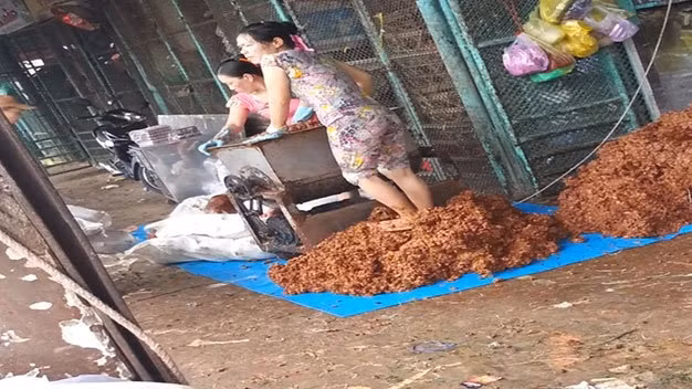 Theo tìm hiểu, thực chất đoạn video này đã được chia sẻ trên mạng xã hội từ nhiều năm trước. Gần đây, những hình ảnh này tiếp tục được chia sẻ lại và vẫn thu hút rất nhiều sự chú ý đến từ các hội nhóm, diễn đàn trên mạng xã hội.