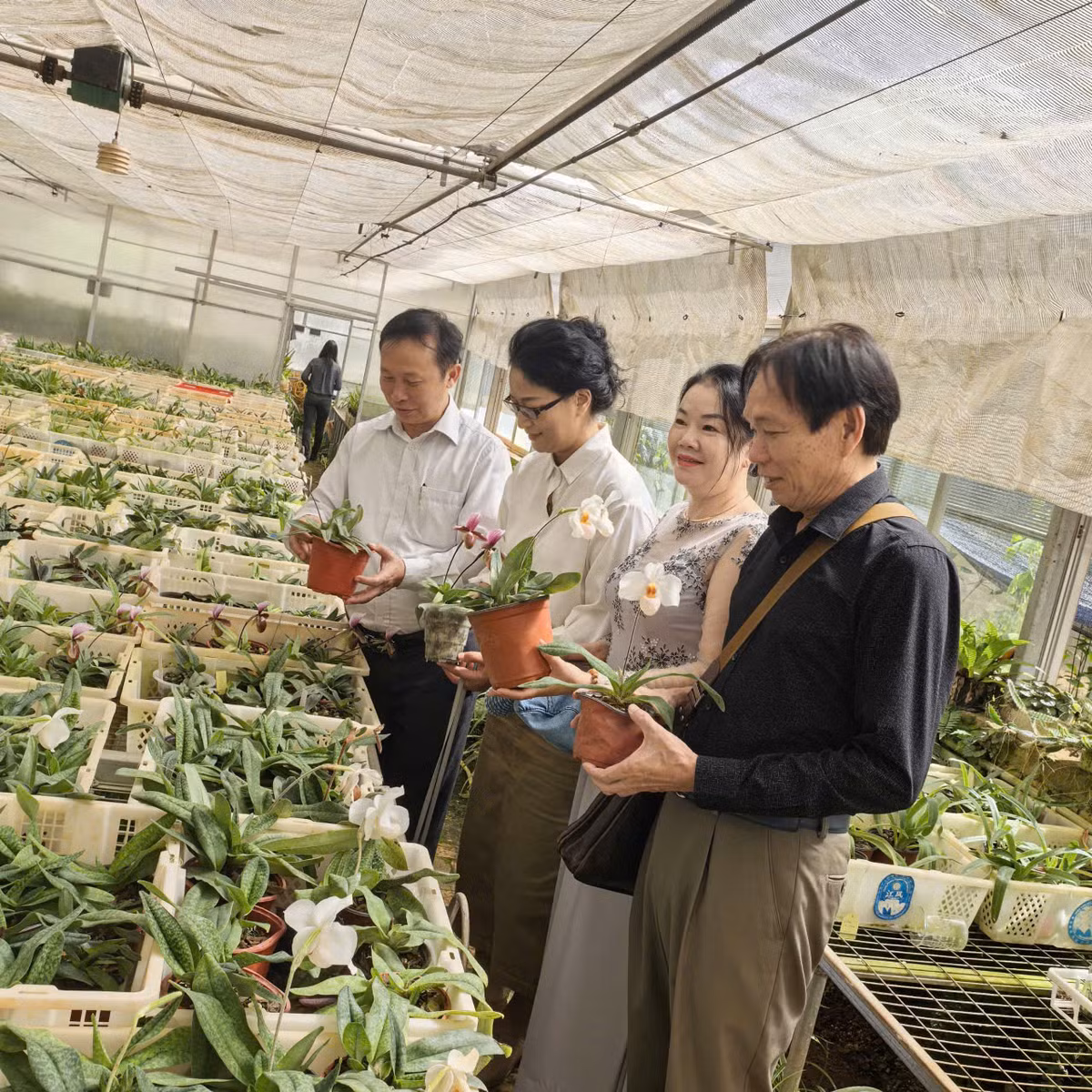 PGS.TS Đặng Văn Đông: Nhà khoa học của những giống hoa tiền tỷ - Hình 4 PGS.TS Dang Van Dong: Nha khoa hoc cua nhung giong hoa tien ty-Hinh-4