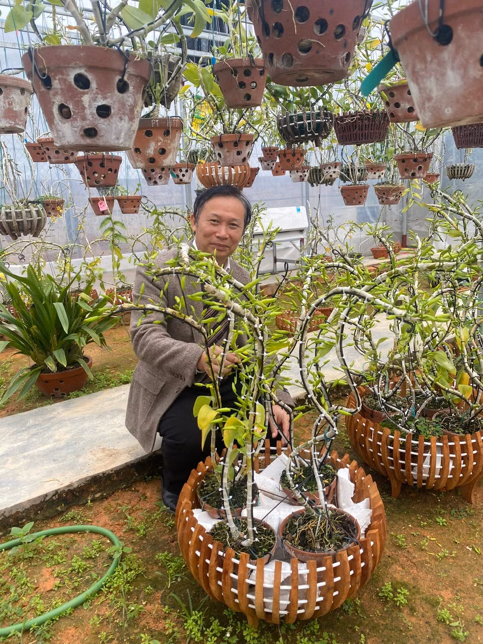PGS.TS Đặng Văn Đông: Nhà khoa học của những giống hoa tiền tỷ - Hình 3 PGS.TS Dang Van Dong: Nha khoa hoc cua nhung giong hoa tien ty-Hinh-3