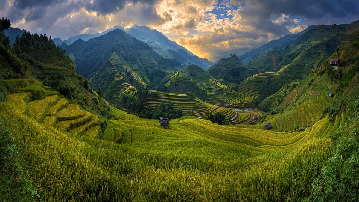 Ruộng bậc thang Mù Căng Chải trong ráng chiều. Ảnh: Extra Suriyachat.