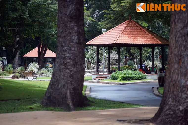 Trong lịch sử 150 của mình, công viên Tao Đàn luôn giữ vai trò một công viên chính của thành phố. Nơi đây nối tiếng với mật độ cây xanh dày đặc bậc nhất của Sài Gòn.