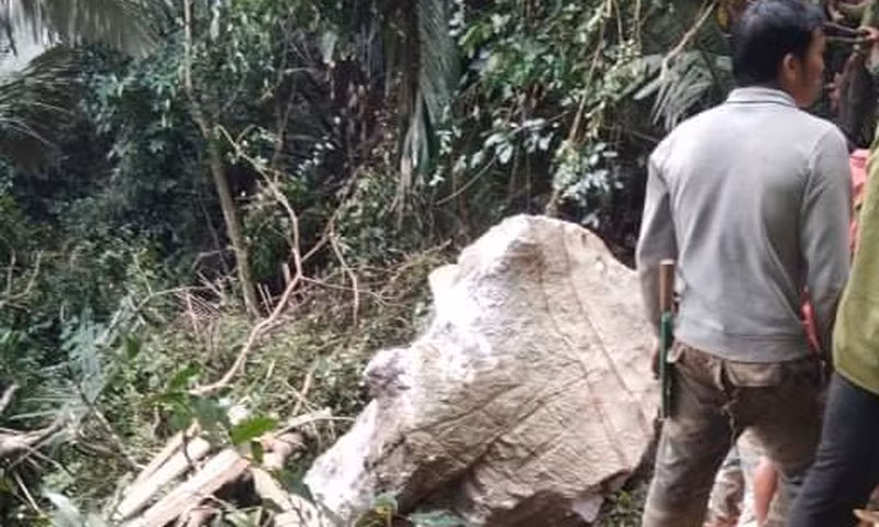 Đi lấy mật ong rừng 1 người bị đá đè lên người tử vong Di lay mat ong rung 1 nguoi bi da de len nguoi tu vong