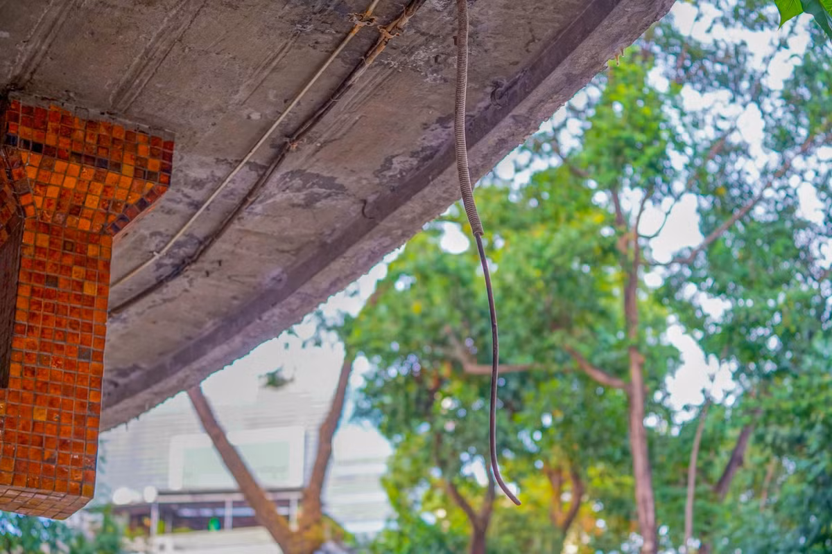 Nguy hiểm hơn một số chỗ dây điện của hệ thống chiếu sáng bị đứt để lòi ra lõi đồng bên trong và treo lòng thòng xuống ngay bên dưới lối đi dễ gây nguy hiểm cho du khách đến tham quan.