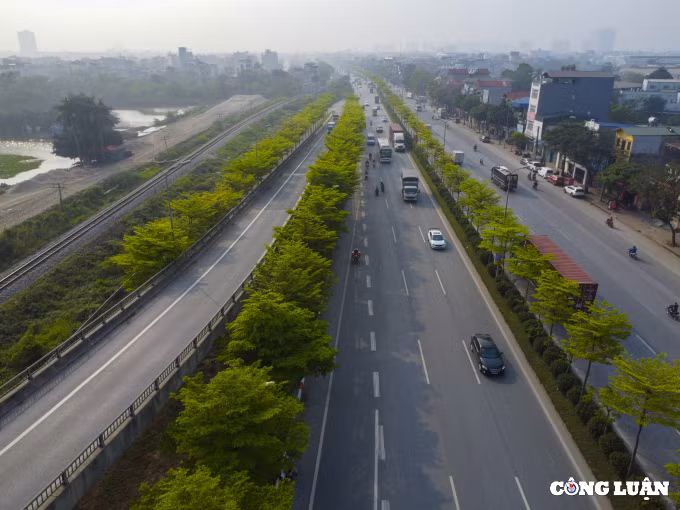 Hàng cây đã đem đến những thay đổi tích cực về cảnh quan nơi đây, cũng như góp phần cải thiện môi trường.