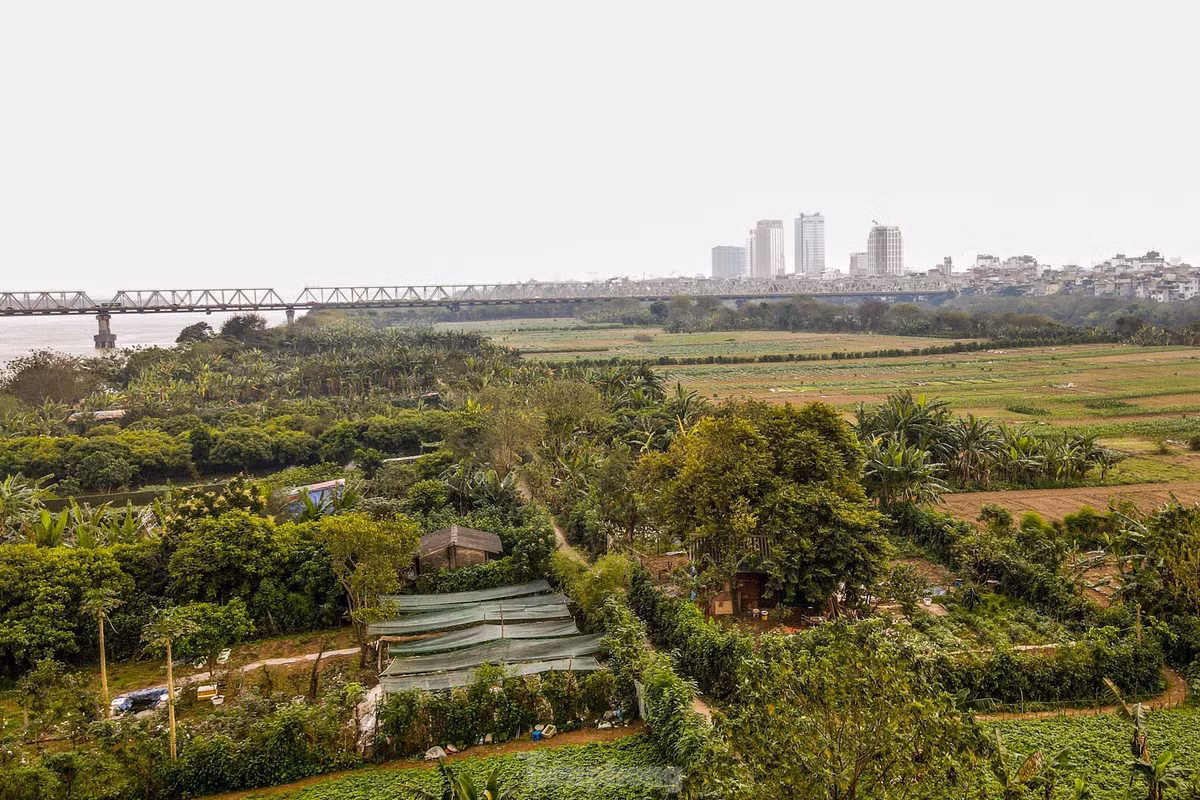 Can canh khu vuc bai giua song Hong du kien lam cong vien van hoa
