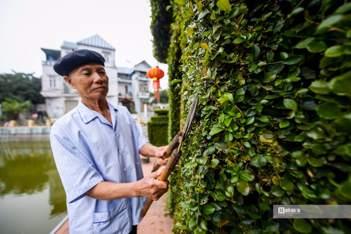 Ngam cong rao “doc nhat vo nhi” bang cay o ro 30 nam tuoi-Hinh-8