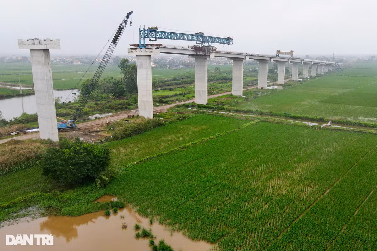 Dai cong truong o Hai Phong xay cau hon 800 ty dong noi hai bo song Van Uc-Hinh-3