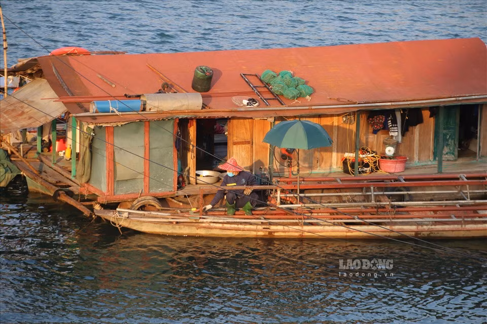 Những người đàn ông là lao động chính trong gia đình sẽ kiểm tra lại thuyền để chuẩn bị cho chuyến đánh bắt trong đêm trên dòng sông Đà.