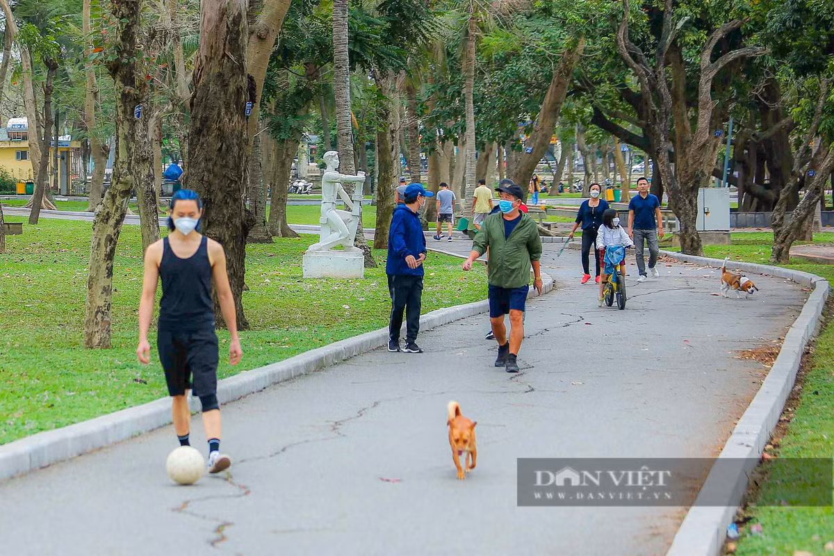 Một số con đường hư hại đến biến dạng. Đường lát gạch bị bung lên, gạch vỡ nằm rải rác trong khi nhiều đoạn đường nhựa lồi lõm, nứt toác.