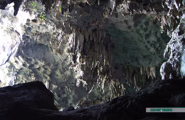 Kham pha ve dep hang dong day quyen ru o Ha Long-Hinh-7