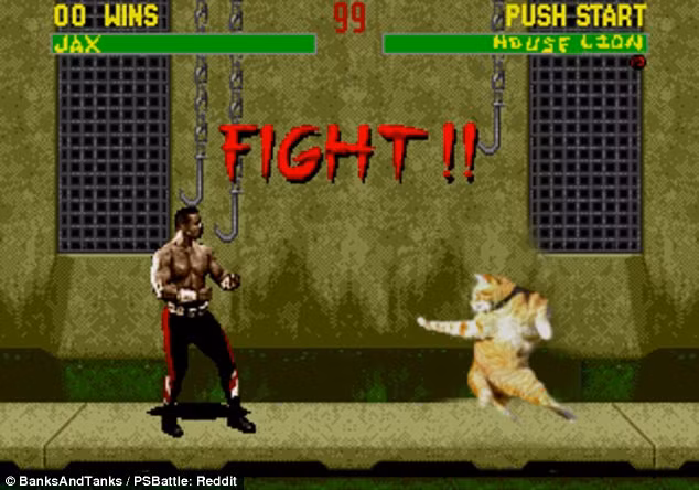 Chú mèo nổi tiếng đến nỗi được hãng trò chơi nổi tiếng game hóa.