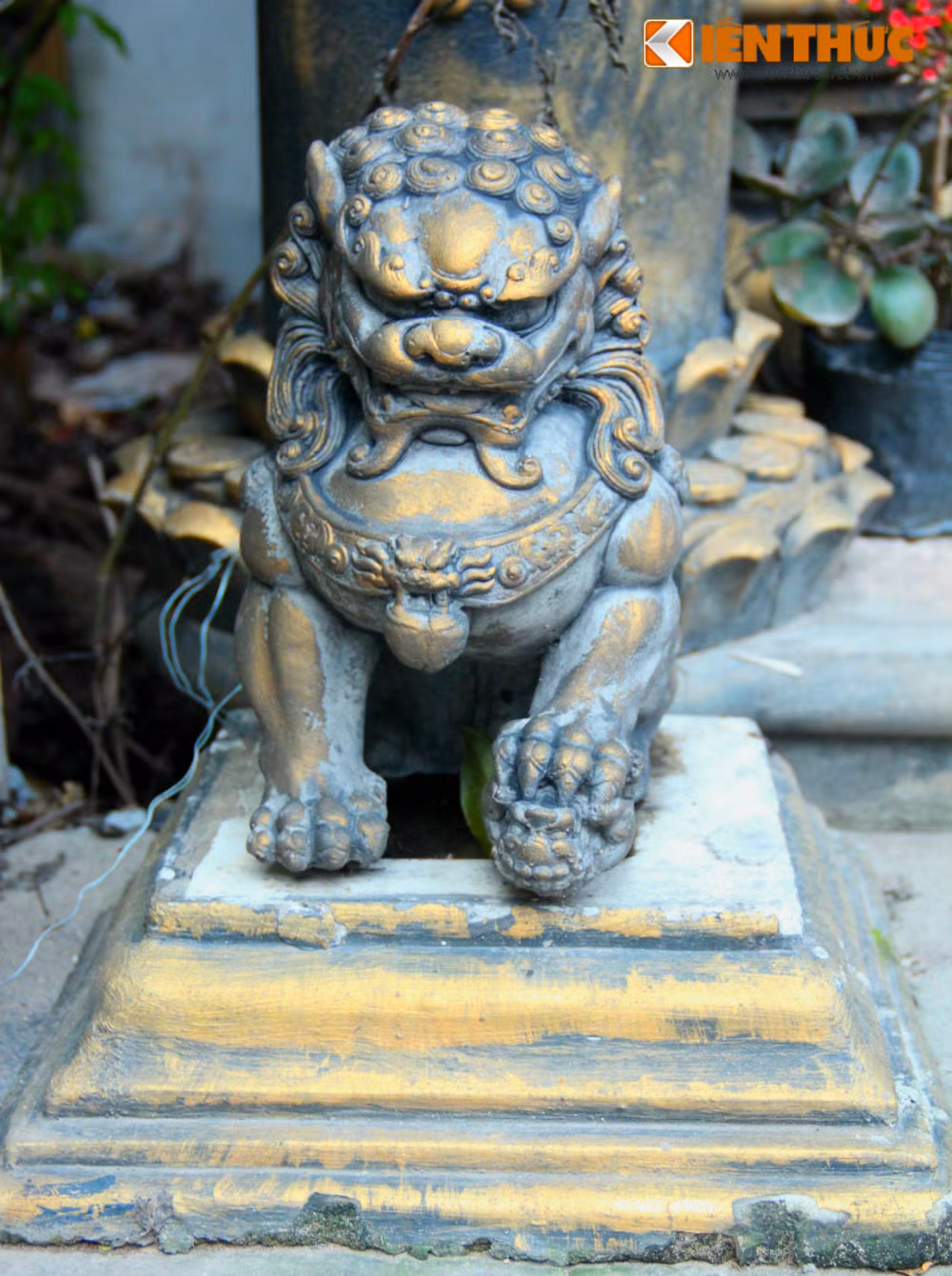 Nhiều người nhìn vào cho rằng những thứ này làm ngôi nhà trở nên “kỳ dị” nhưng thực chất chúng có mối liên hệ khăng khít với nhau.