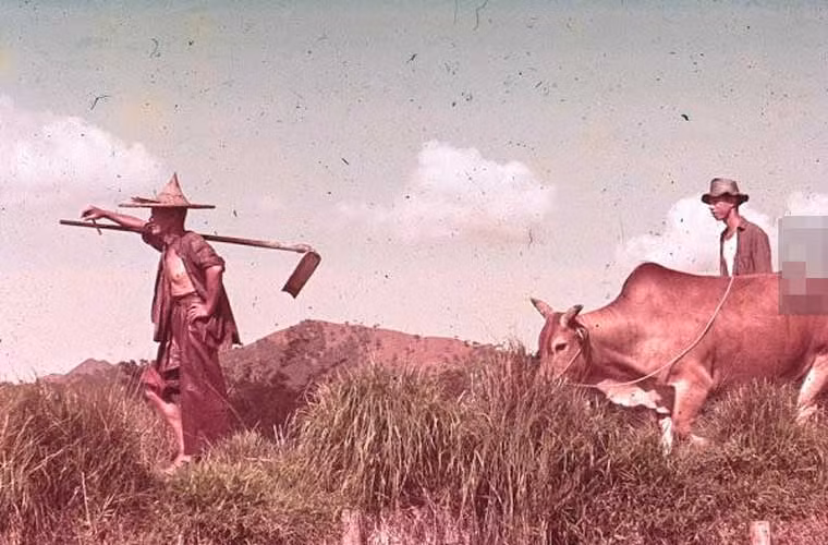 Nông dân ra đồng. Ảnh xilu
