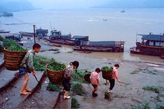 Thuyền bè trên sông Dương Tử ở đoạn gần bến sông thuộc địa phận Trùng Khánh. Ảnh Sina