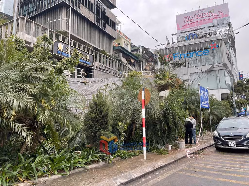 Máy xúc bị tụt dốc, tài xế tử vong ở Quảng Ninh May xuc bi tut doc, tai xe tu vong o Quang Ninh