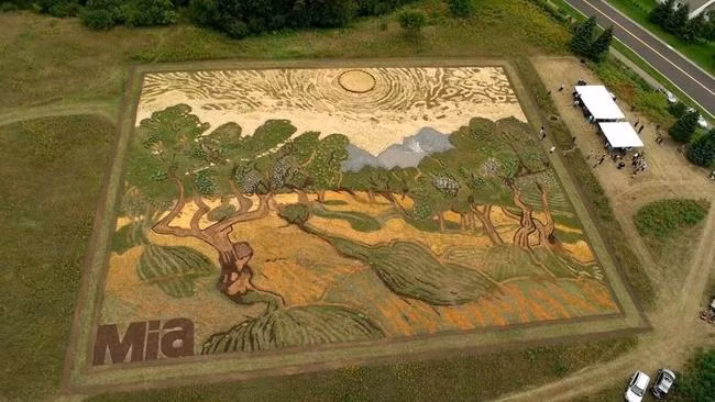 Herd mô phỏng bức "Olive trees" nổi tiếng của danh họa Van Gogh.