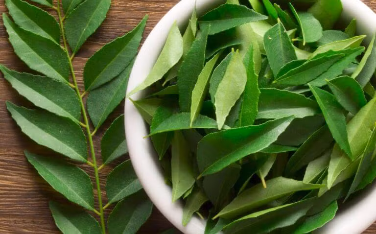 Lá cà ri có đặc tính chống oxy hóa và chứa keratin nổi tiếng với khả năng ngăn ngừa rụng tóc và thúc đẩy tăng trưởng tóc. Ảnh: spiceography.