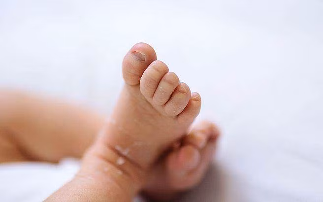 Thấy hộp lạ rung lắc tưởng chó con bị bỏ rơi, nào ngờ... Thay hop la rung lac tuong cho con bi bo roi, nao ngo...