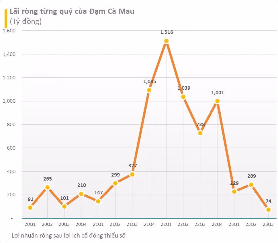 Dam Ca Mau: Buc tranh tai chinh nhieu bien dong, khoan vay va no ngan han phinh to