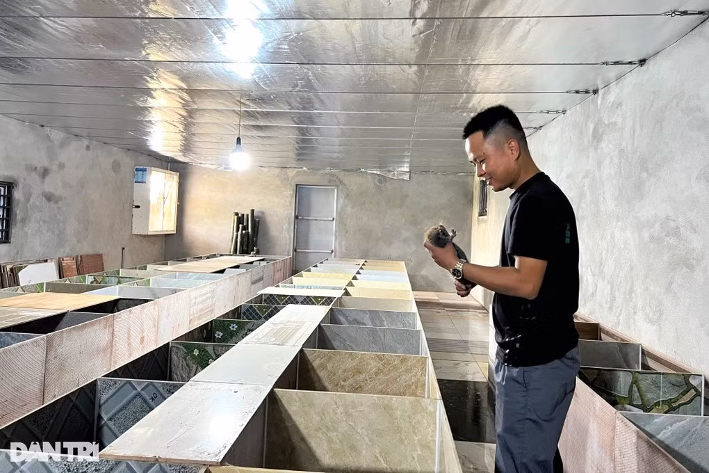 Ky su 9X nuoi loai “an dem ngu ngay”, moi nam lai 200 trieu dong