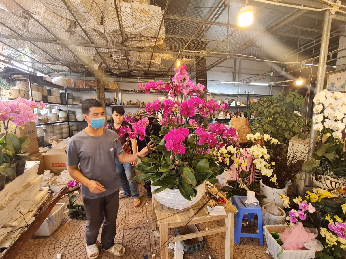 Năm nay, lượng lan hồ điệp được các doanh nghiệp mua để làm quà có phần gia tăng hơn so với năm ngoái. Các chậu hoa, ngoài sử dụng chất liệu gốm, nhựa, năm nay khá nhiều hàng hoa, cây cảnh sử dụng chất liệu gỗ lũa, thiên về tự nhiên.