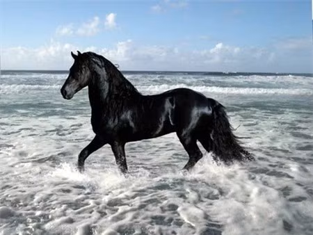 Nhung con ngua noi tieng trong lich su - van hoc Trung Quoc-Hinh-2