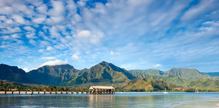 Hawaii là một trong 4 bang ở Mỹ cấm sử dụng billboard (pano) cho việc quảng cáo. Ảnh: FS.