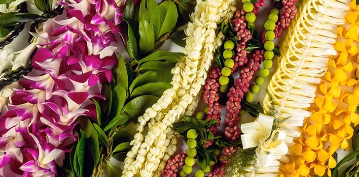 Việc từ chối đeo vòng hoa lei ở Hawaii khi được đề nghị bị coi là hành vi thô lỗ. Ảnh: FS.