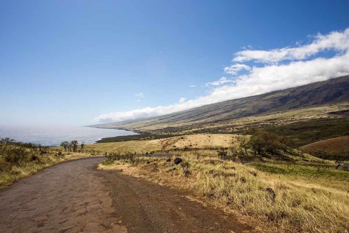 Hawaii không có rắn. Những người bị phát hiện buôn lậu rắn vào tiểu bang này có thể phải đối mặt với 3 năm tù và nộp phạt đến 200.000 USD. Ảnh: MN.