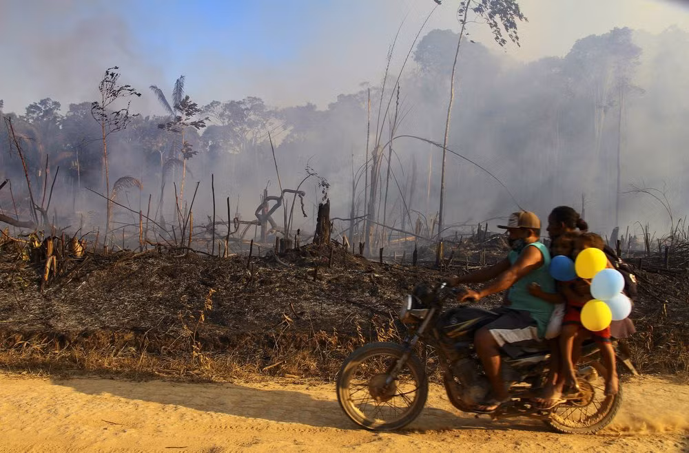 Tổng thống Brazil có phản ứng khá mâu thuẫn về vấn đề cháy rừng. Ông đã phát động một chiến dịch do quân đội dẫn đầu để ngăn phá rừng vào tháng 5. Song, ông Bolsonaro phủ nhận cây cối trong vùng có thể bắt lửa. Tổng thống Brazil cũng nói số rừng bị mất vào tháng 7 giảm so với cùng kỳ năm trước, bỏ qua thực tế đây là con số cao thứ ba so với mọi tháng kể từ 2015.