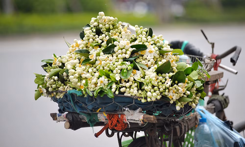 Tuổi Thân: Sự nghiệp: không nên quá miễn cưỡng trong công việc để tránh thị phi. Tài vận: dễ hao tài tốn của. Tình cảm: nên cẩn trọng trong lời ăn tiếng nói. Ảnh: thoibao.today.