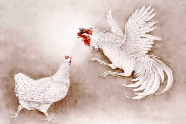 Con giáp có thể bất ngờ được nhận một vị trí mới ở nơi làm việc, mang lại nhiều cơ hội và tiền bạc. Cũng có thể có người sẵn sàng đứng ra đầu tư, con giáp chỉ việc yên tâm làm việc chăm chỉ, sẽ có lợi nhuận mang về.