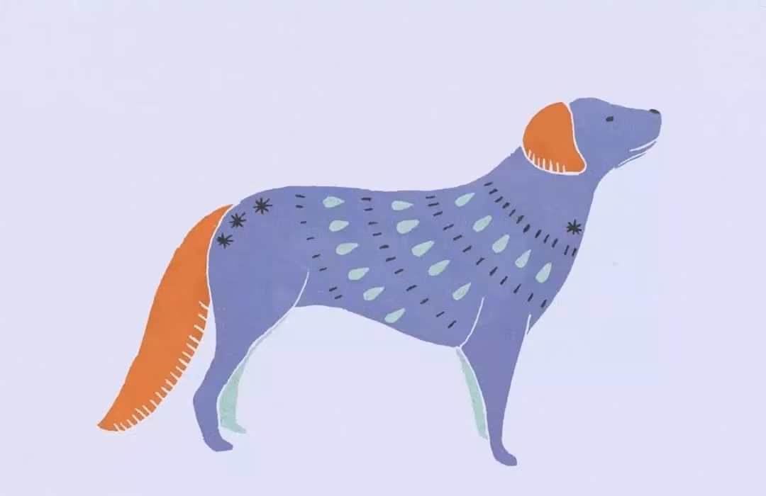 Mọi thứ chỉ thay đổi khi con giáp này bước vào trung vận, khi tài vận khởi sắc bừng bừng thì người tuổi Tuất chỉ có một việc phải lo đó là đếm đủ tiền vì tiền quá nhiều, đếm không xuể. (Bài viết chỉ mang tính tham khảo, cung cấp nội dung trắc nghiệm vui cho bạn đọc). 