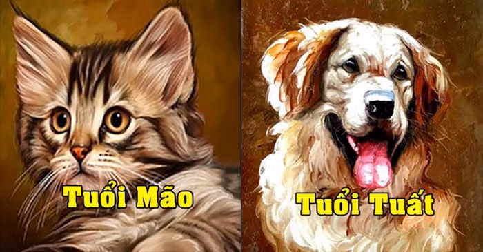 Người nam tuổi Mão và nữ tuổi Tuất: Người nam tuổi Mão thân thiện, rất giỏi phân tích và quan sát, nhưng thường quá bảo thủ mà mất đi nhiều cơ hội tốt. Nếu có một người đồng hành bên cạnh hỗ trợ đưa ra mưu lược thì mọi việc hoàn toàn khác.