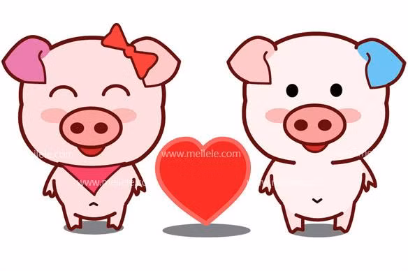 Tuổi Hợi: Người tuổi Hợi do được Tài Tinh phù trợ nên sinh ra đã mang số mệnh “ngâm thìa vàng”. 