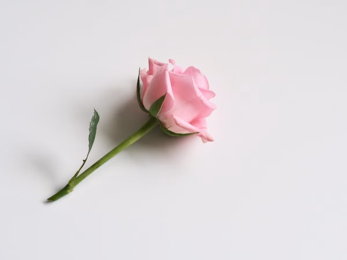 Tháng 7/2018, ngũ hành kim vượng phát, mà ngũ hành của người tuổi Sửu lại tương sinh với Tài cục, nên tiền bạc luôn sung túc. Dù tiền bạc đầy túi nhưng với bản chất khiêm nhường, không thích khoe khoang nên hầu như không ai biết về sự giàu có của người tuổi Sửu. Ảnh: pexels.com.