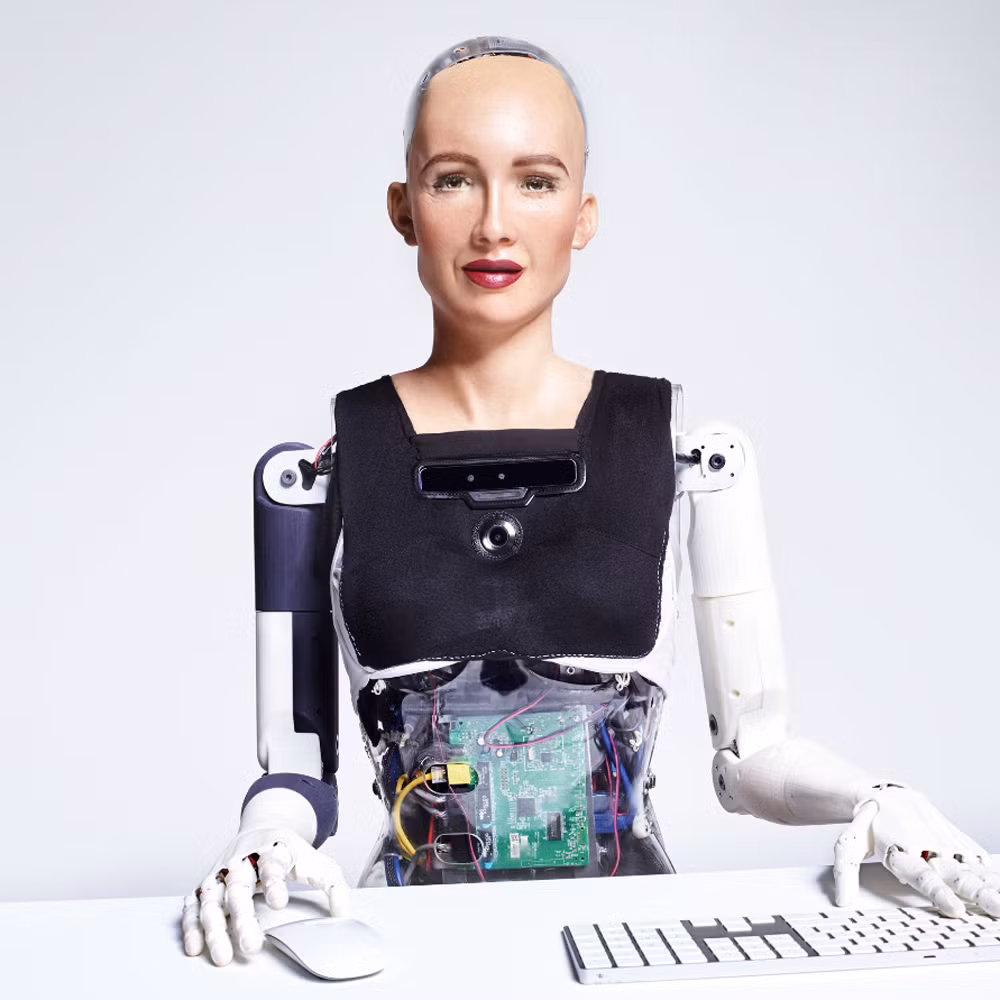 Sophia đã xuất hiện nhiều lần trước công chúng, trả lời phỏng vấn với các đại diện truyền thông. Nó đã xuất hiện trong nhiều sự kiện và hội nghị, chẳng hạn như Triển lãm Điện tử Tiêu dùng (CES) và gần đây hơn là tại Hội nghị thượng đỉnh toàn cầu về AI tại Geneva. Ảnh: @AI for Good - ITU.