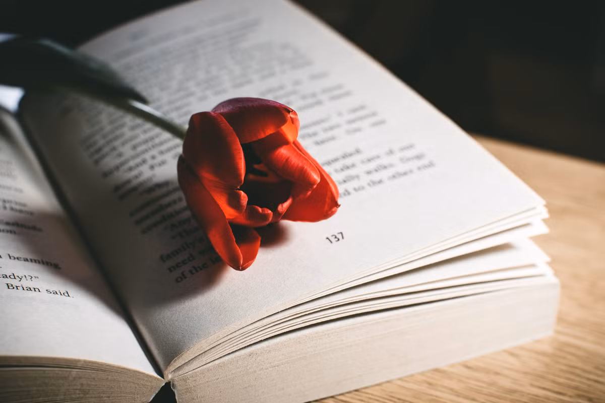 Người tuổi Thìn chỉ cần không ngừng nỗ lực, phấn đấu, thì cho dù có gặp bất cứ khó khăn gì cũng sẽ có quý nhân ra tay giúp đỡ. Tháng 7 chính là thời gian thuận lợi nhất của con giáp này trong năm. Ảnh: pexels.com.