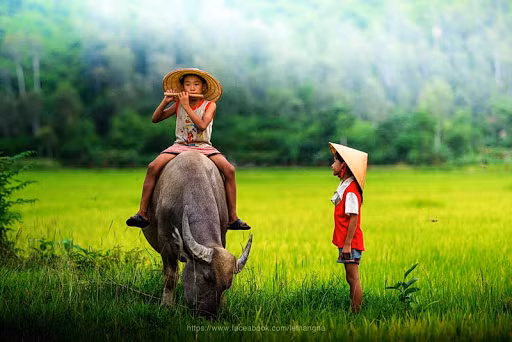 Du doan ngay moi 13/5/2020 cho 12 con giap-Hinh-2