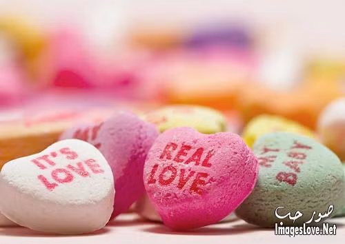 Tuổi Tuất: Người tuổi Tuất khi yêu sẽ không dành trọn trái tim cho nửa kia, có thể họ sẽ thốt ra những lời như “chỉ mãi yêu một người, trong lòng chỉ một người” nhưng trong thâm tâm lại không hề nghĩ như vậy. Ảnh: imageslove.net. (Bài viết chỉ mang tính tham khảo, cung cấp nội dung trắc nghiệm vui cho bạn đọc).