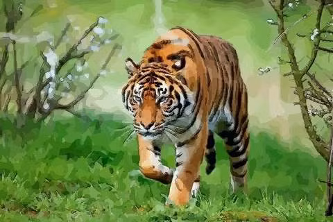 Bước vào năm Nhâm Dần 2022, vận thế của người tuổi Dần lao dốc không phanh, vận đen đeo bám, thị phi bủa vây, con giáp này làm việc gì cũng gặp trở ngại, khó bề thành công. 
