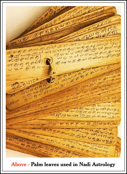 Sử dụng sự hiểu biết thần thánh của mình, những bậc thầy này đã ghi lại những dự đoán chi tiết trên lá cọ, bằng một cây bút đặc biệt, tạo ra một hệ thống chiêm tinh học Vedic phức tạp chưa từng có. Ảnh: @Pinterest. 