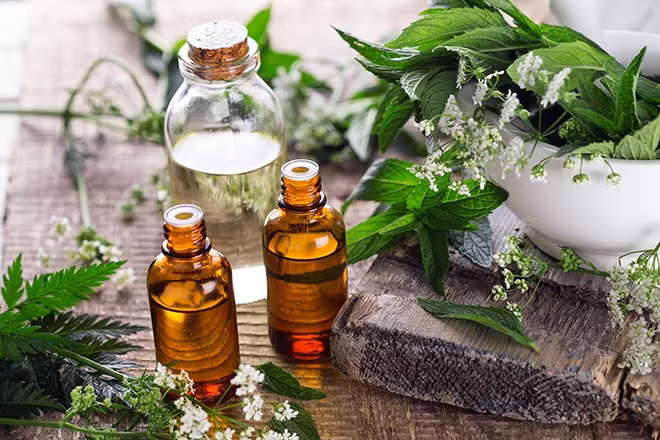 Theo các nhà khoa học, trong các loại tinh dầu, tinh dầu hương nhu, bạc hà và sả có tác dụng xua đuổi muỗi và côn trùng tốt nhất. Thời điểm phun cũng rất quan trọng bởi tinh dầu bay hơi rất nhanh, chỉ vài tiếng là bay hơi hết. Tốt nhất nên phun vào lúc chiều muộn.