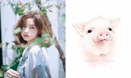 Vận thế của người tuổi Hợi năm 2022 có chút biến động. Điều này là do gặp phải cục diện Phá Thái Tuế. Công việc và cuộc sống sẽ vấp phải không ít sự cố. Mặc dù con giáp này đã rất cố gắng trong công việc nhưng phiền phức, thị phi liên tiếp xuất hiện, ảnh hưởng xấu đến sự thăng tiến. Hung tinh “Quyến Thiệt” mang lại những phiền phức do lời ăn tiếng nói. Cũng may do được cát tinh “Thiên Đức”, “Văn Xương” nên mọi thứ cuối cùng cũng được xử lý triệt để. (Bài viết chỉ mang tính tham khảo, cung cấp nội dung trắc nghiệm vui cho bạn đọc).